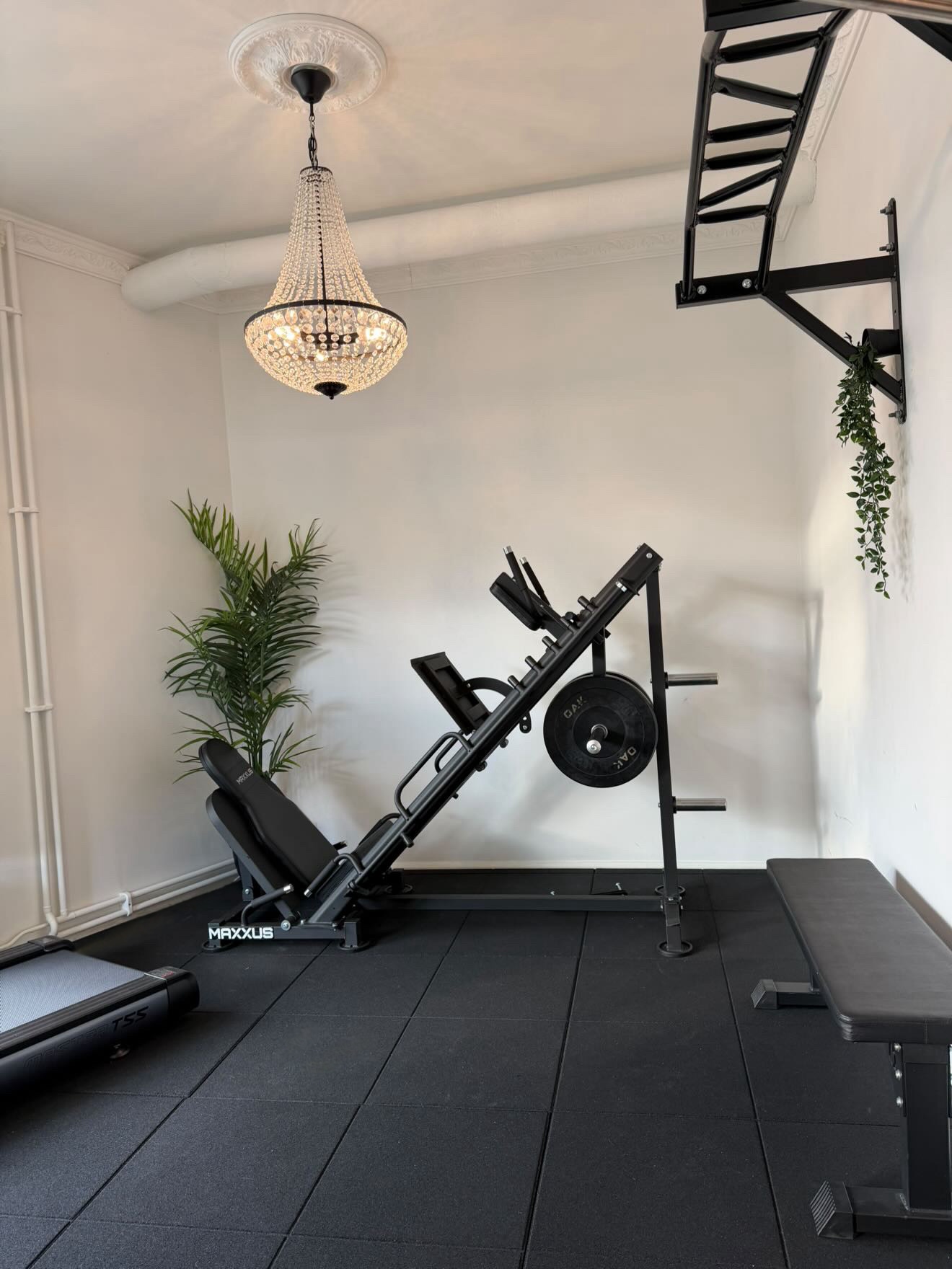 My Fitness Club My Martens24